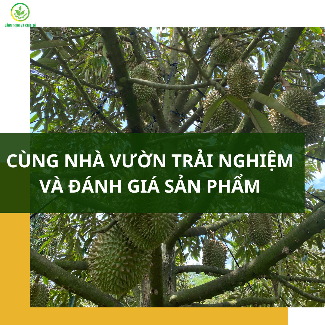 Đánh giá sản phẩm